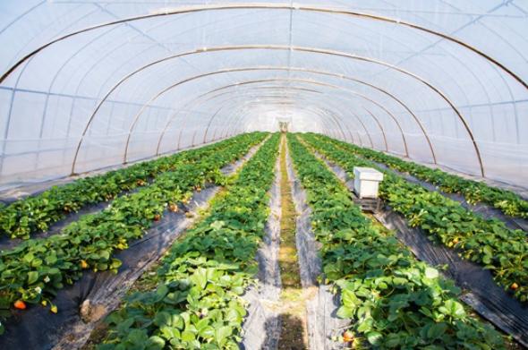 山东泰港数科集团 为农业插上科技的翅膀，引领农业科技研发新浪潮