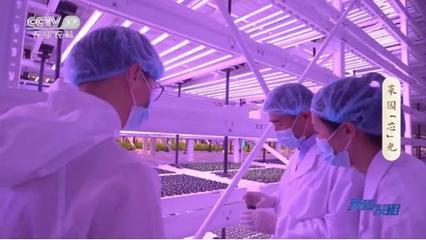 科技赋能，沃土生金 农业科技研发如何让乡村生活更美好