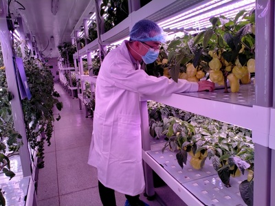 技术交流促发展，鱼菜高与百源康共探农业科技新路径——福建中科三安植物工厂学习行记