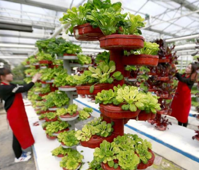 江苏淮安 以现代农业园为引擎，驱动农业科技研发与产业升级