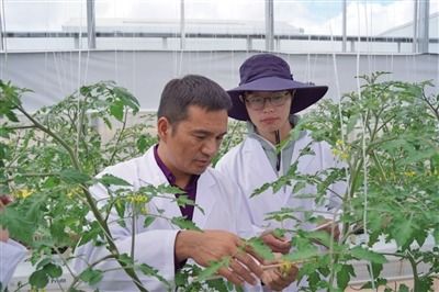 拼多多“百亿农研”计划 践行农业科技普惠，引领产业新变革