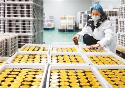 稳居第一，小小罐头闯世界 农业科技研发铸就餐桌全球化