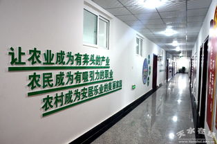 中国电子科技集团消费扶贫新举措 采购清水农产品助力乡村振兴，科技研发赋能农业现代化