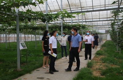 河北省科技厅副厅长李华峰一行赴中国农业大学涿州教学实验场调研指导重点科技项目建设