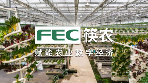 匠心独运 FEC筷农科技成就智慧农批第一品牌