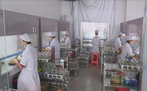 科技赋能品牌引领 东方市热带高效农业的高质量发展之路