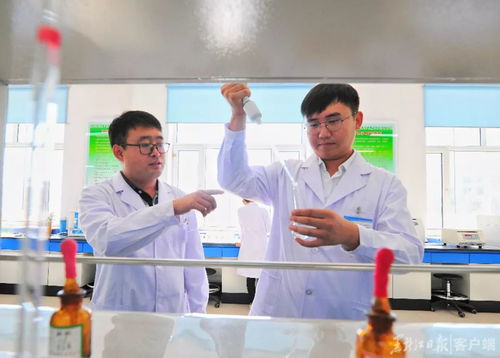 青春在田间绽放 均龄32岁的农业科技研发团队风采