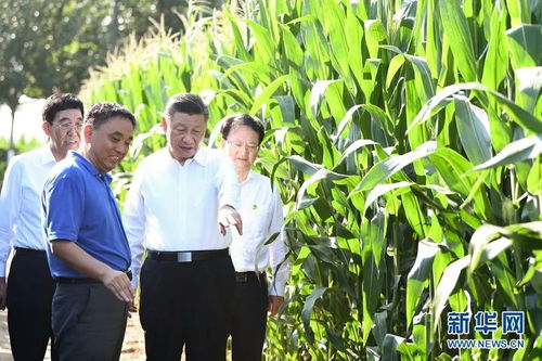 科技赋能乡村振兴 大力推进农业农村现代化与农业科技研发