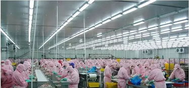 曹德旺捐赠5050万元重建永泰天台寺与圣农建成先进食品生产线 财经与农业科技的双重突破