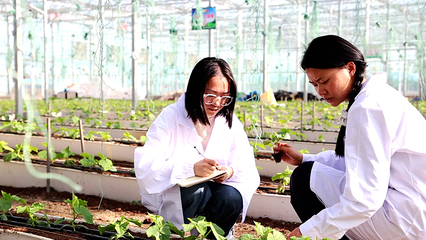 现代农业科技引领人才回流 弥渡大学生返乡就业新趋势